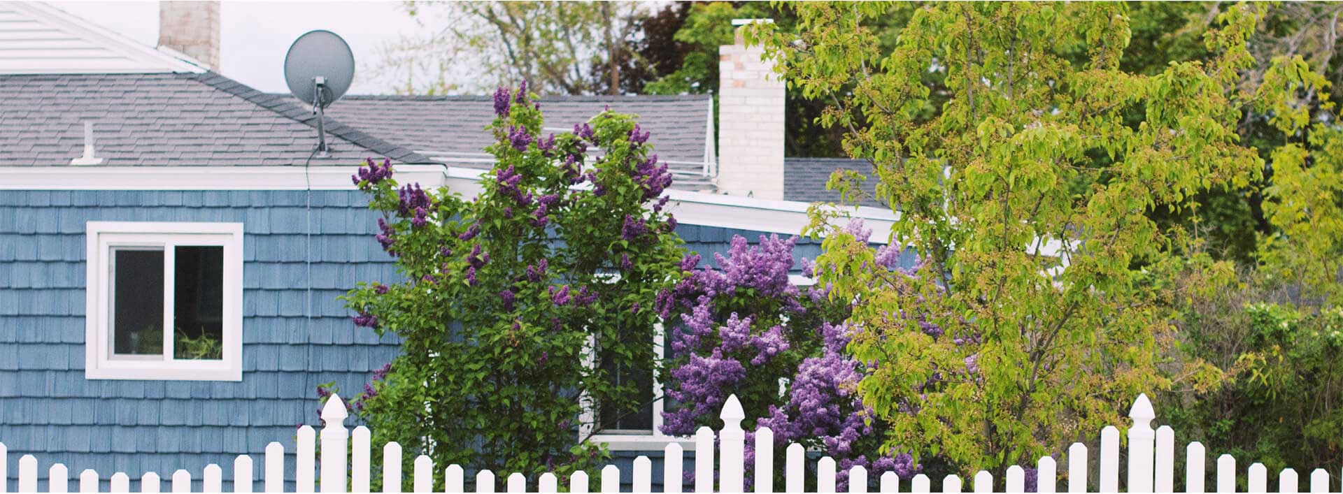 Timber Hoarding Fence